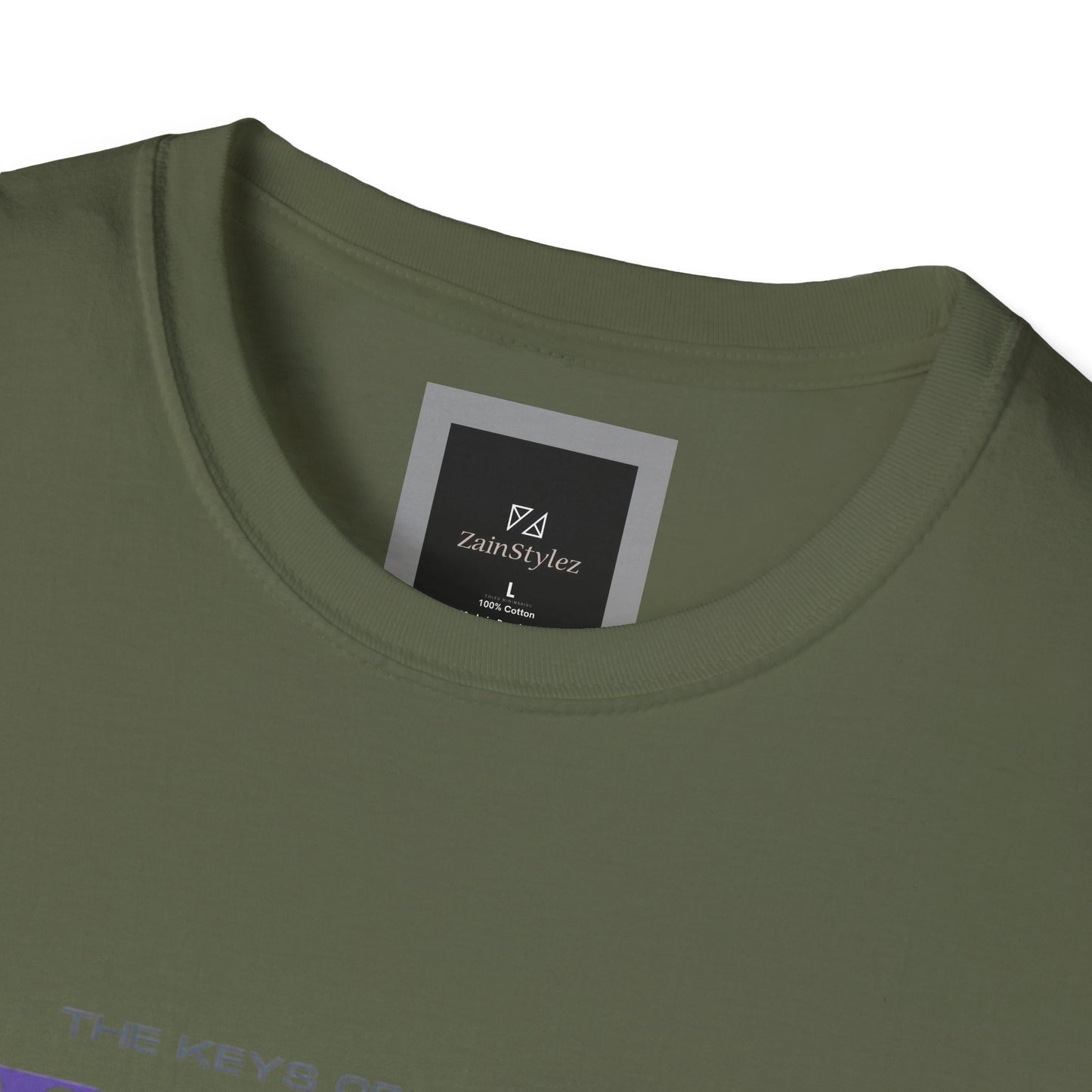 Dont Waste Your Energy Softstyle T-Shirt