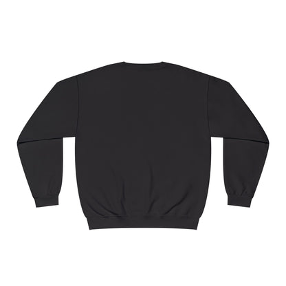 Playful Cat Crewneck Sweatshirt, Cozy Sweatshirt for Cat Lovers, Cute Animal Gift, Fall Fashion, Pet Lover Apparel